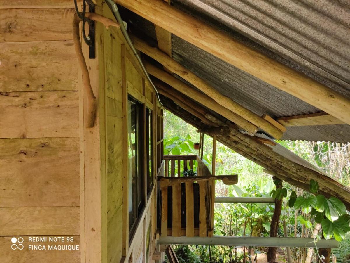 Cabana Maquique - San Vito Villa San Ramon  Ngoại thất bức ảnh
