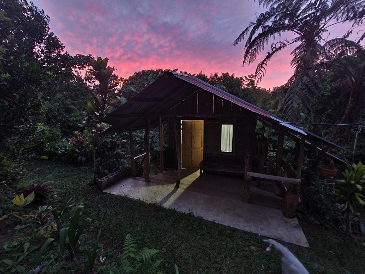 Cabana Maquique - San Vito Villa San Ramon  Ngoại thất bức ảnh