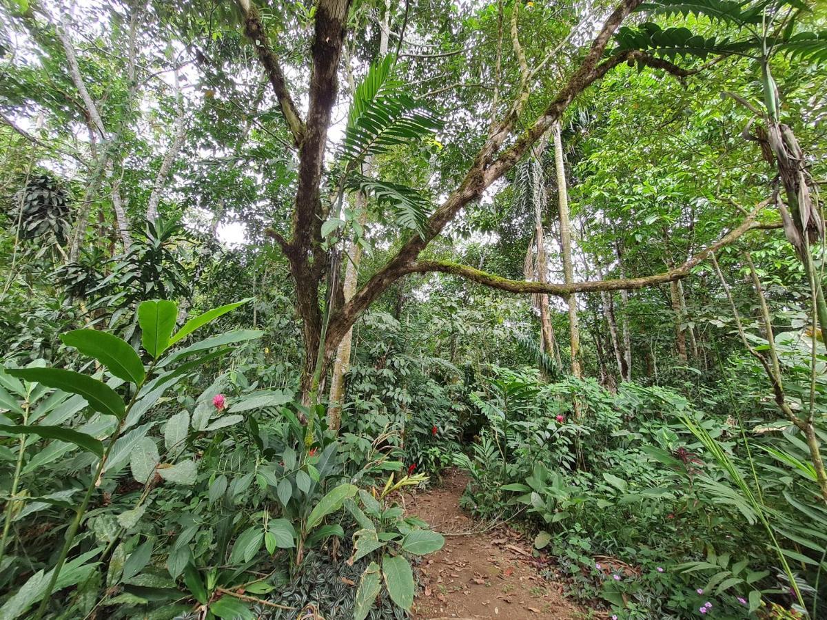 Cabana Maquique - San Vito Villa San Ramon  Ngoại thất bức ảnh