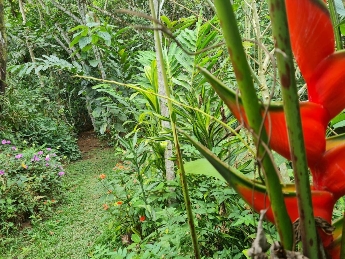 Cabana Maquique - San Vito Villa San Ramon  Ngoại thất bức ảnh