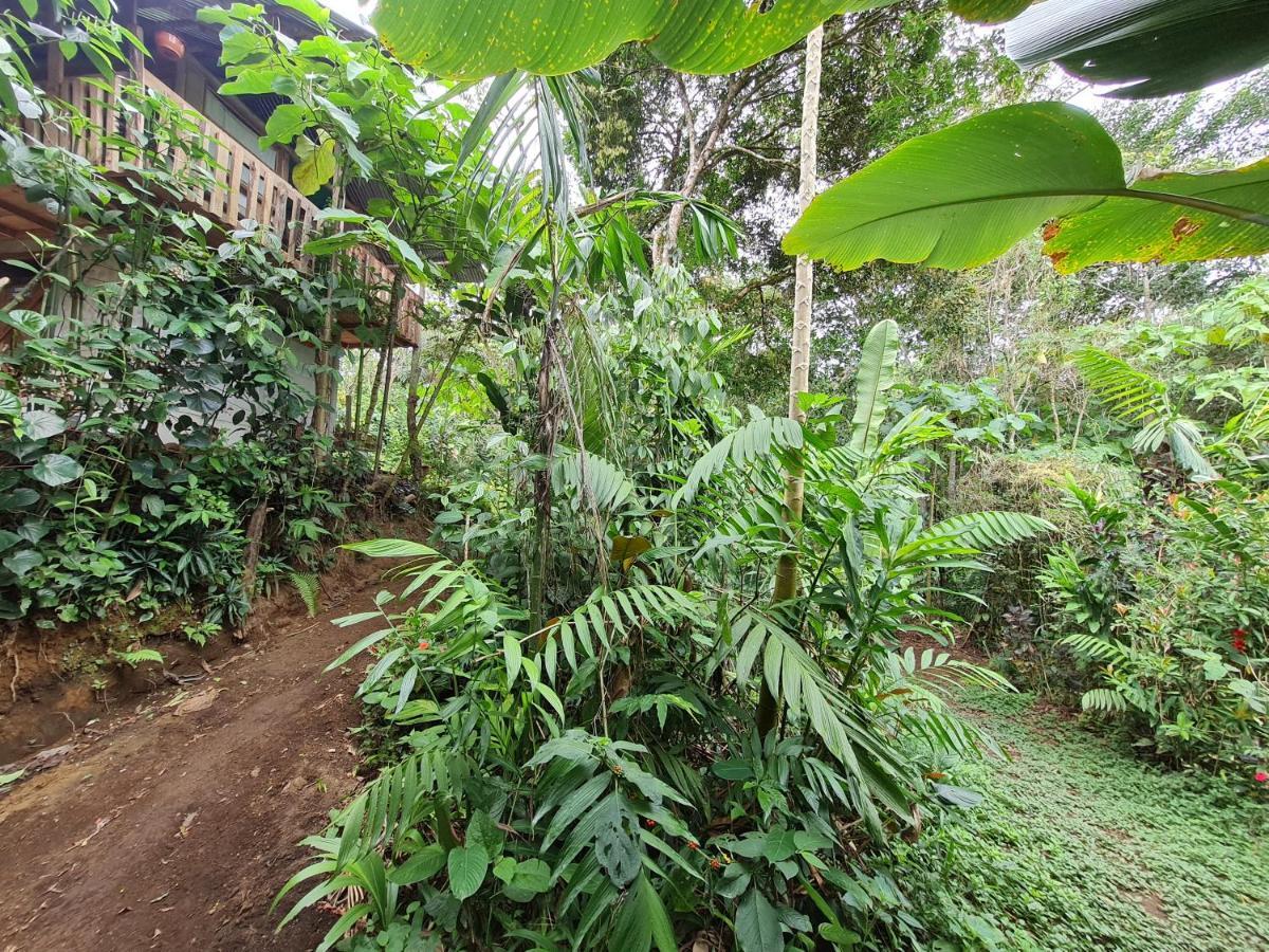 Cabana Maquique - San Vito Villa San Ramon  Ngoại thất bức ảnh