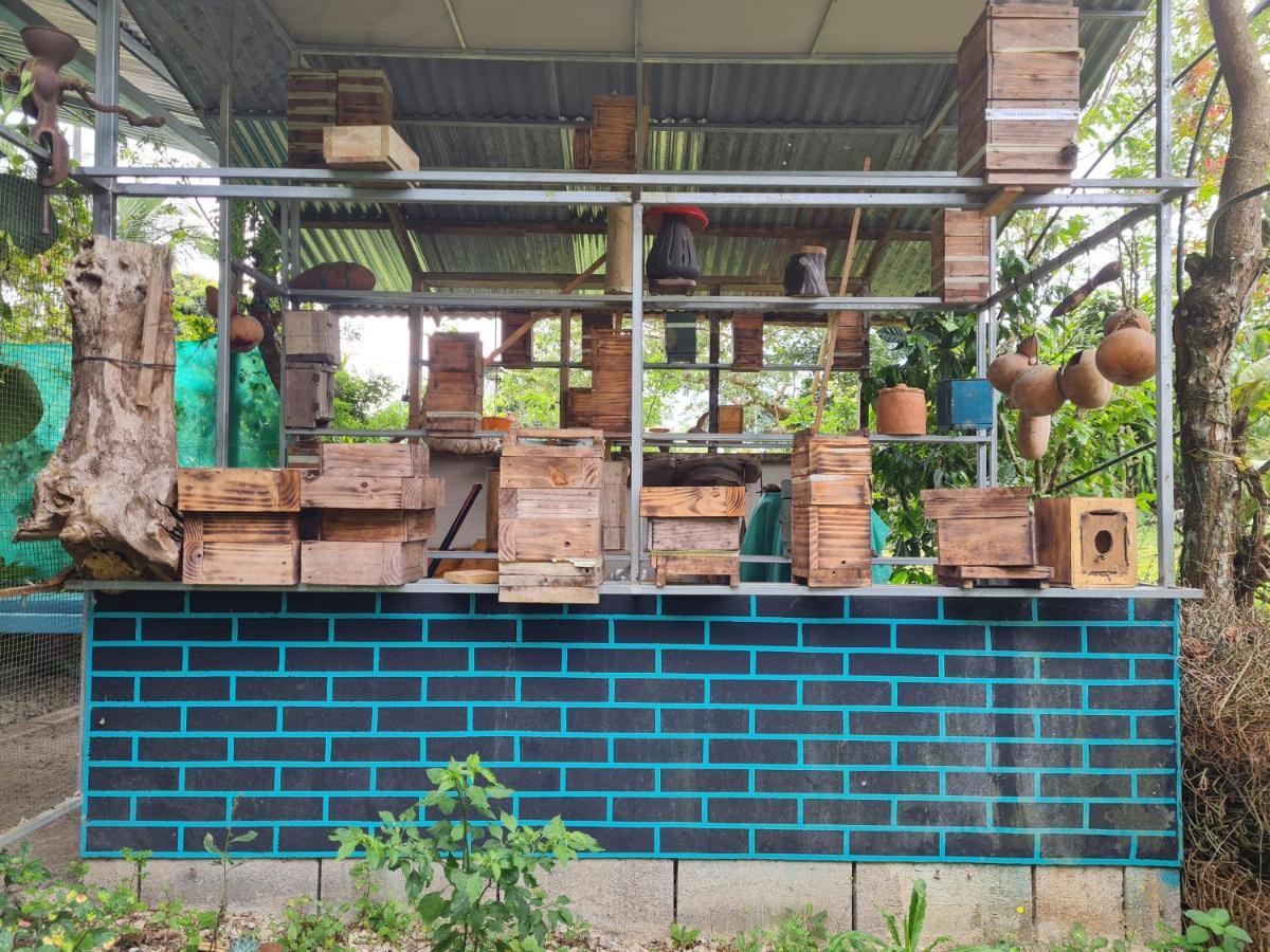 Cabana Maquique - San Vito Villa San Ramon  Ngoại thất bức ảnh