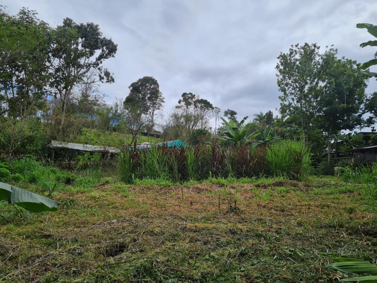 Cabana Maquique - San Vito Villa San Ramon  Ngoại thất bức ảnh