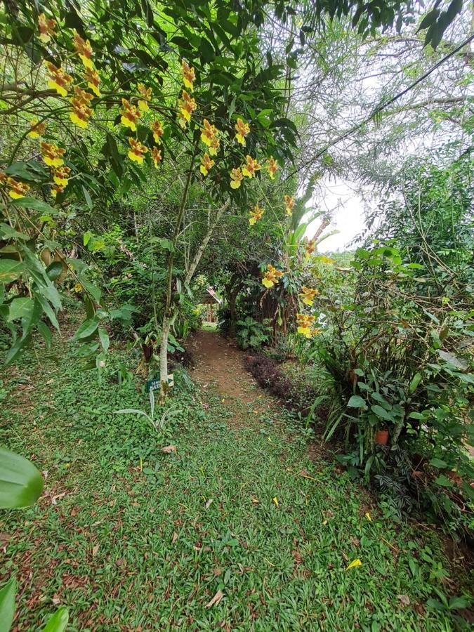 Cabana Maquique - San Vito Villa San Ramon  Ngoại thất bức ảnh